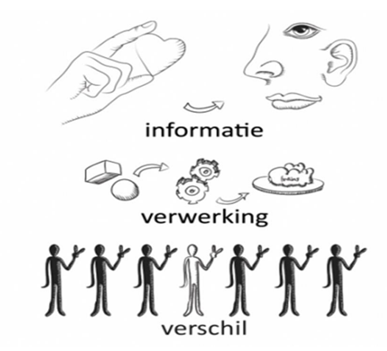 Bron: Brainblocks, autisme: één beeld één taal Stephan van de Ven